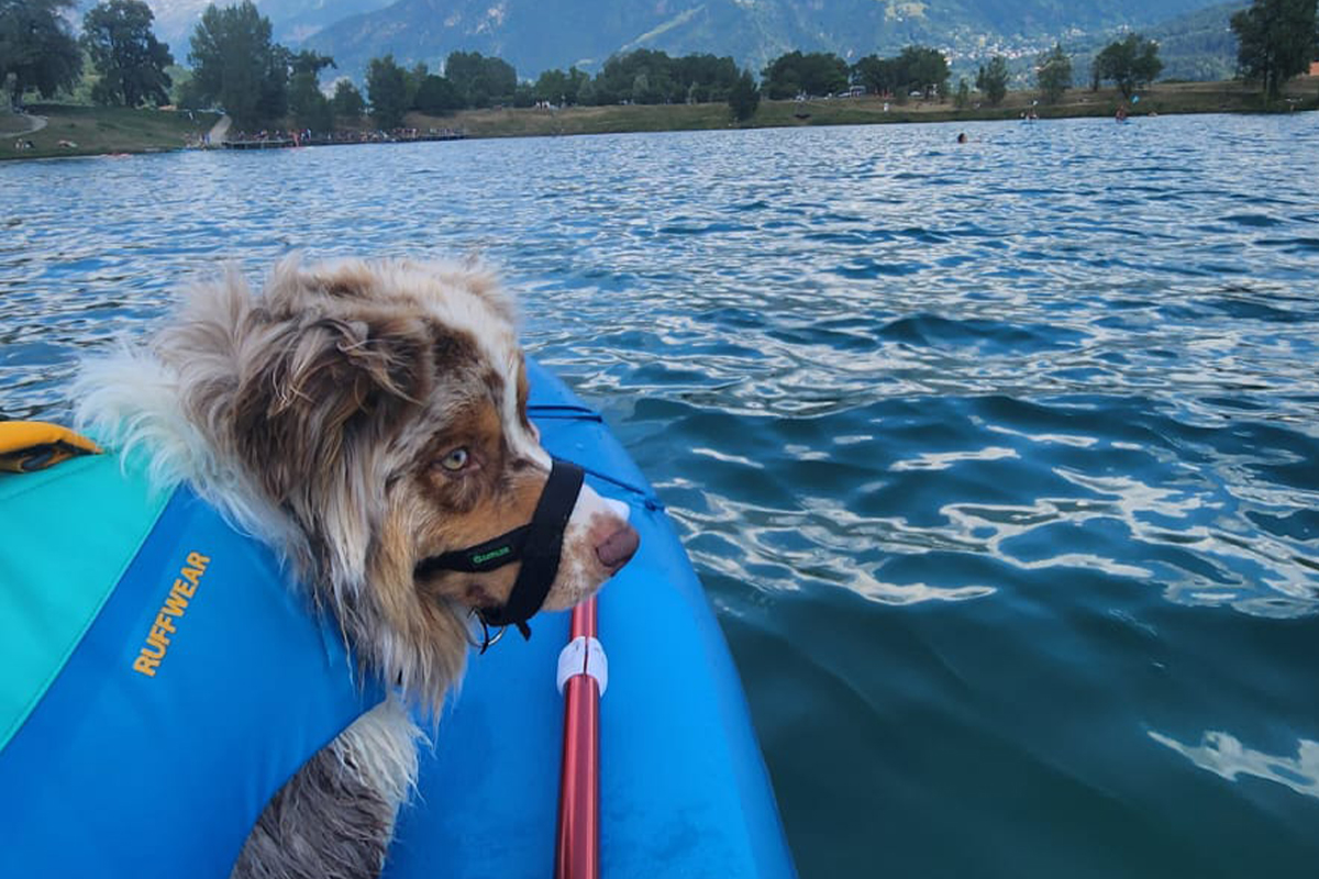 QU EST CE QUE LA COMMUNICATION visual data 2